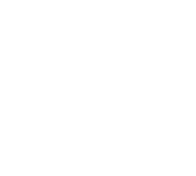 fusspflege-zug1