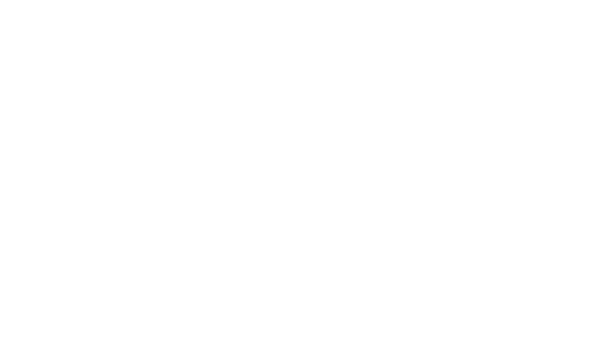 mhoch4-1.webp